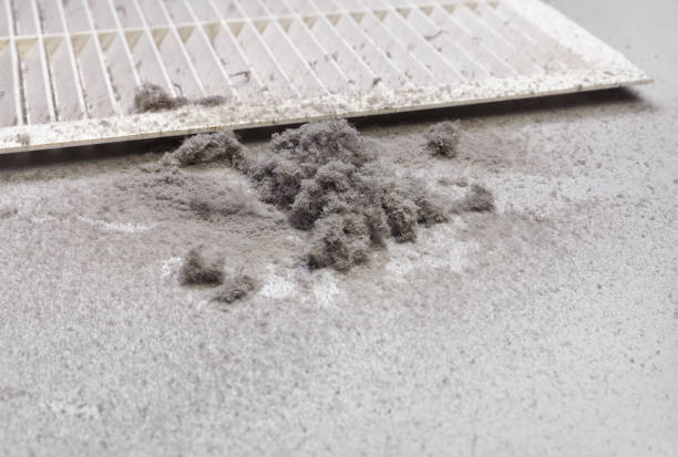 Best HVAC Duct Inspection Services  in Elm Creek, NE