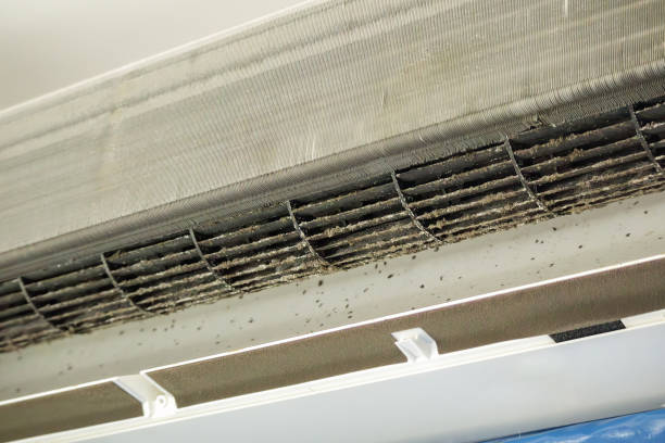 Best Air Duct Cleaning Near Me  in Elm Creek, NE